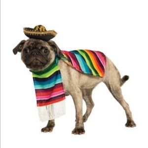 Mexican poncho and sombrero for dog